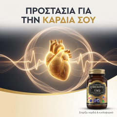 Προστασία για την καρδιά σου