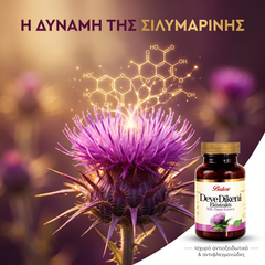 Βοτανικές Κάψουλες Γαϊδουράγκαθο (Milk Thistle) — Αποτοξίνωση Ήπατος